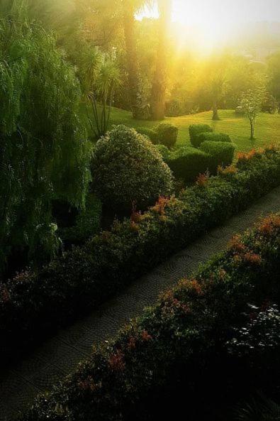 Tenuta Tropeano Санта Доменика Екстериор снимка